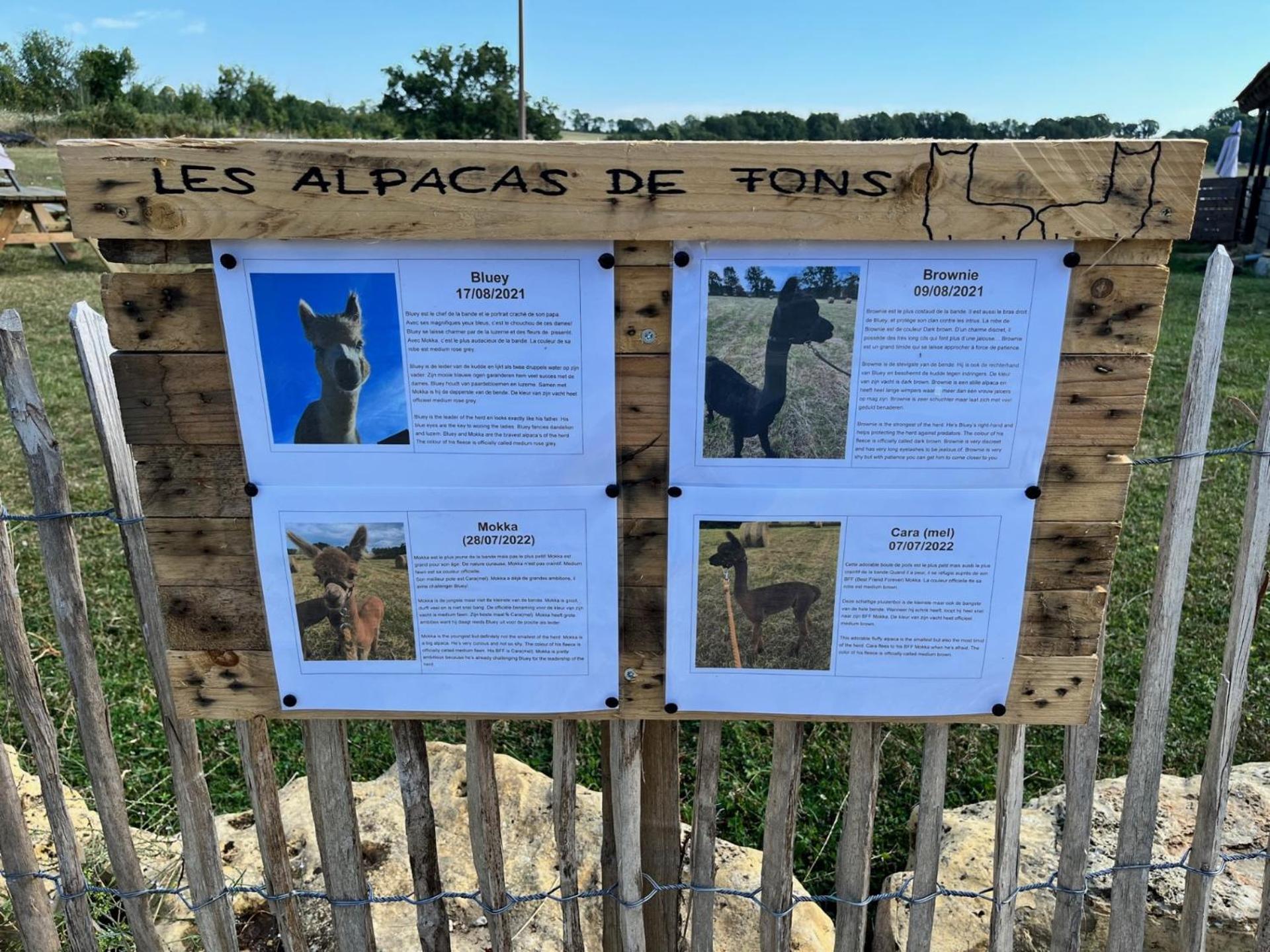 Gite La Borie Fons  Luaran gambar